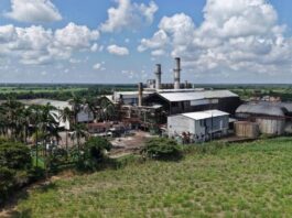 Reporta la STPS del estado avance de 70% en las liquidaciones de trabajadores del ingenio San Pedro