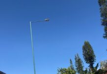 Iniciará SICT rehabilitación nocturna en la avenida Lázaro Cárdenas, en Xalapa