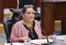 Presenta Taddei a Cámara de Diputados su renuncia al INE