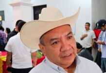 Parálisis del Ingenio San Pedro agrava economía cañera en siete municipios de Veracruz