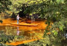 Refuerzan vigilancia sanitaria en el río Chacalapa tras derrame de hidrocarburo