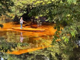Refuerzan vigilancia sanitaria en el río Chacalapa tras derrame de hidrocarburo
