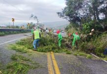 Atiende SICT Veracruz incidencias en la red carretera federal ocasionada por las lluvias