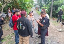 Atiende Ayuntamiento de Veracruz caso de agresión con arma de fuego a canino