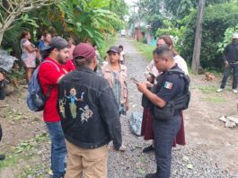 Atiende Ayuntamiento de Veracruz caso de agresión con arma de fuego a canino