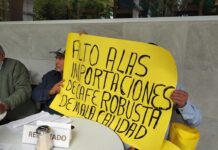 Cafetaleros de Veracruz exigen aplicar la nueva ley ante bajos precios y aumento de importaciones