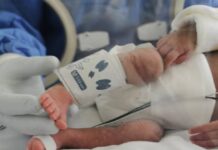Ocho bebés mueren en hospital del IMSS en Jalisco; familias denuncian fallas en protocolos