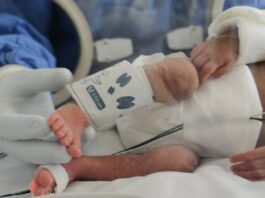 Ocho bebés mueren en hospital del IMSS en Jalisco; familias denuncian fallas en protocolos