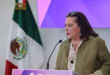Piden PRI y Somos renuncia de Taddei al INE; ‘no cederé a presiones’, dice la consejera presidenta