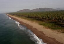 Alerta Semarnat por grave erosión costera y pérdidas de playas en Veracruz y Tabasco