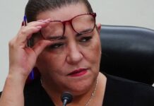 Exhiben que chofer de Guadalupe Taddei es ‘apoderado’ de empresa contratista del INE