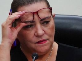 Exhiben que chofer de Guadalupe Taddei es ‘apoderado’ de empresa contratista del INE