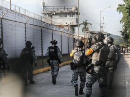 Cerraron en ocho años 37 centros penitenciarios; ahora construirán seis nuevos, uno en Veracruz